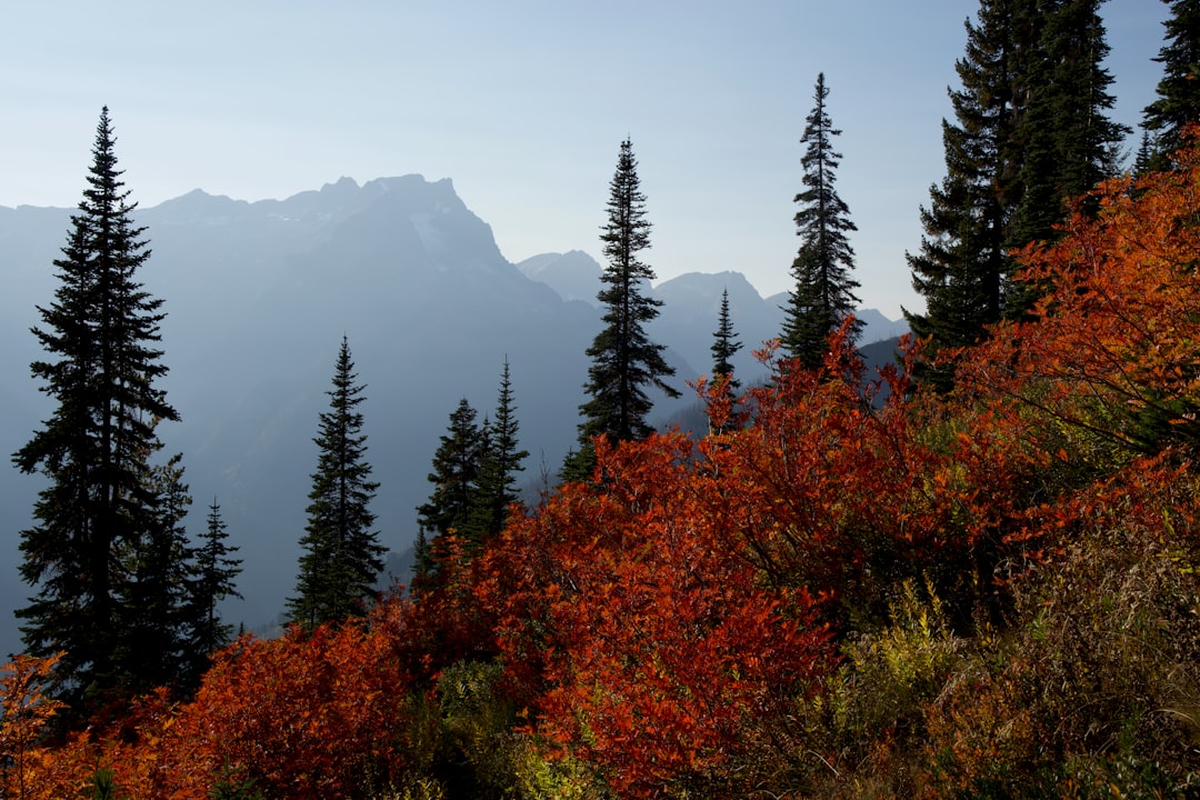 Web3 : Internet décentralisé